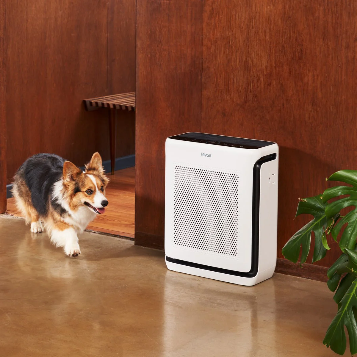 Levoit Vital 200S-P Smart Air Purifier - Image 4